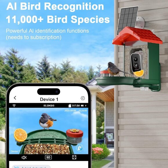 2-in-1 Smart Wild Bird Feeder & Bath with 4K HD Camera and AI Identification - Picture 2 of 8